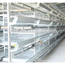 alambre de acero con poco carbono galvanizado Material jaula de pollo para aves de corral